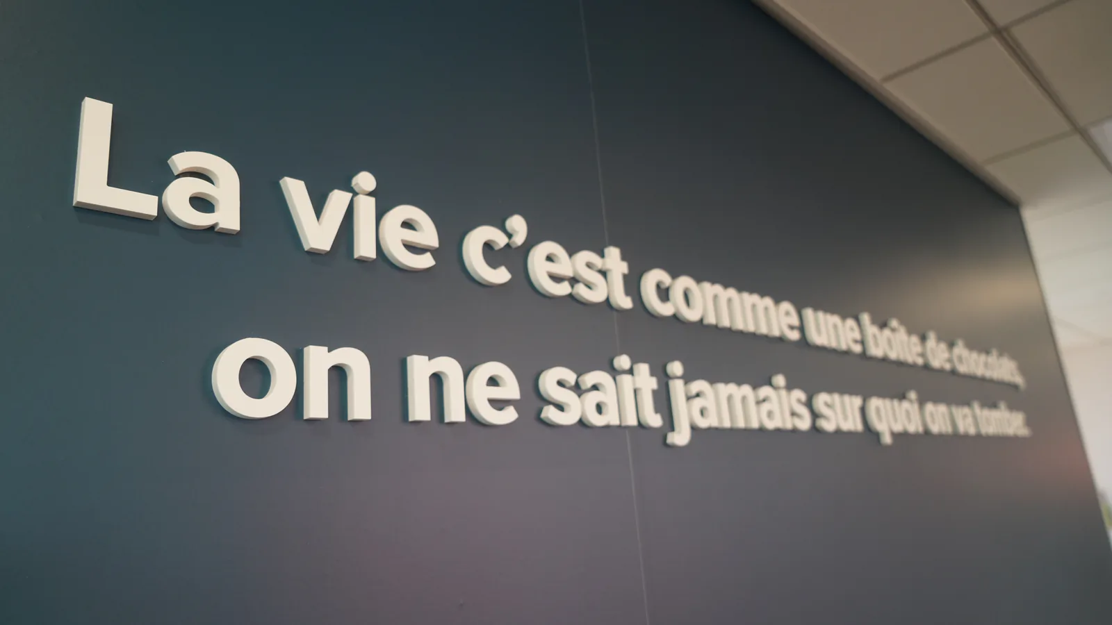 Phrase murale composée en lettres PVC blanches mates sur un fond bleu-gris sombre